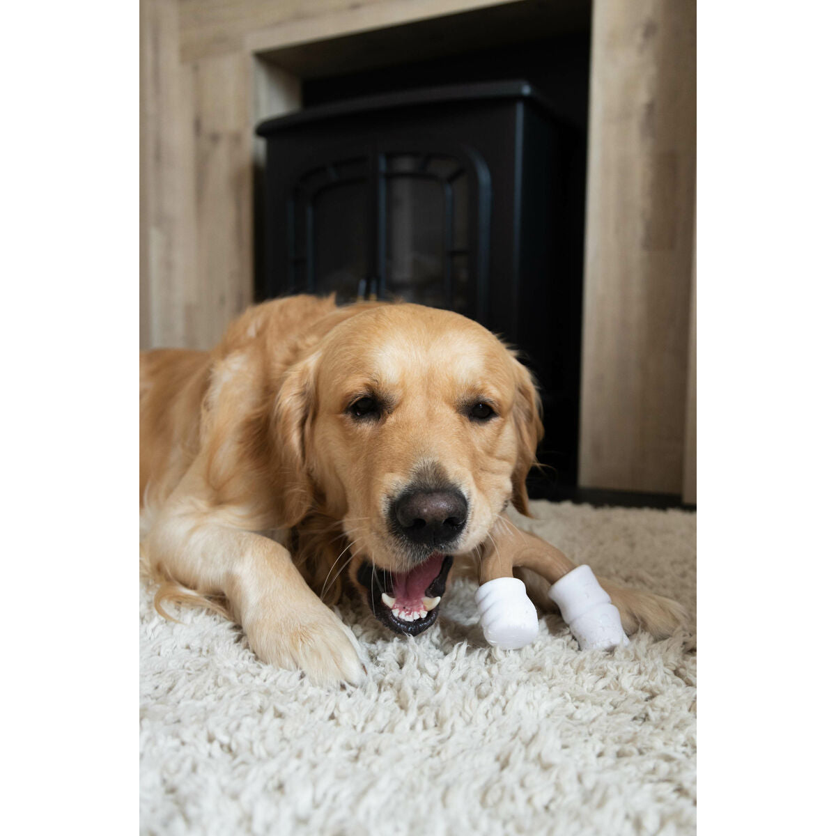 V5H1168FC2E47A1381B38DB7698EC2A5A9AR5778904P3