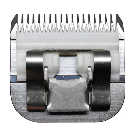 V3H985E39FD4A925E3F70EFCE20C04FC399R5554761P4