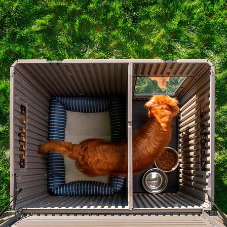 V7H4AB96BB1D63F6BCB6BD25757B3A60ED5R5420858P5