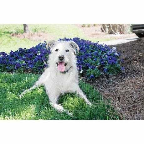 V3HED64785AF067A08268284CB13A6FA40DR5763546P6