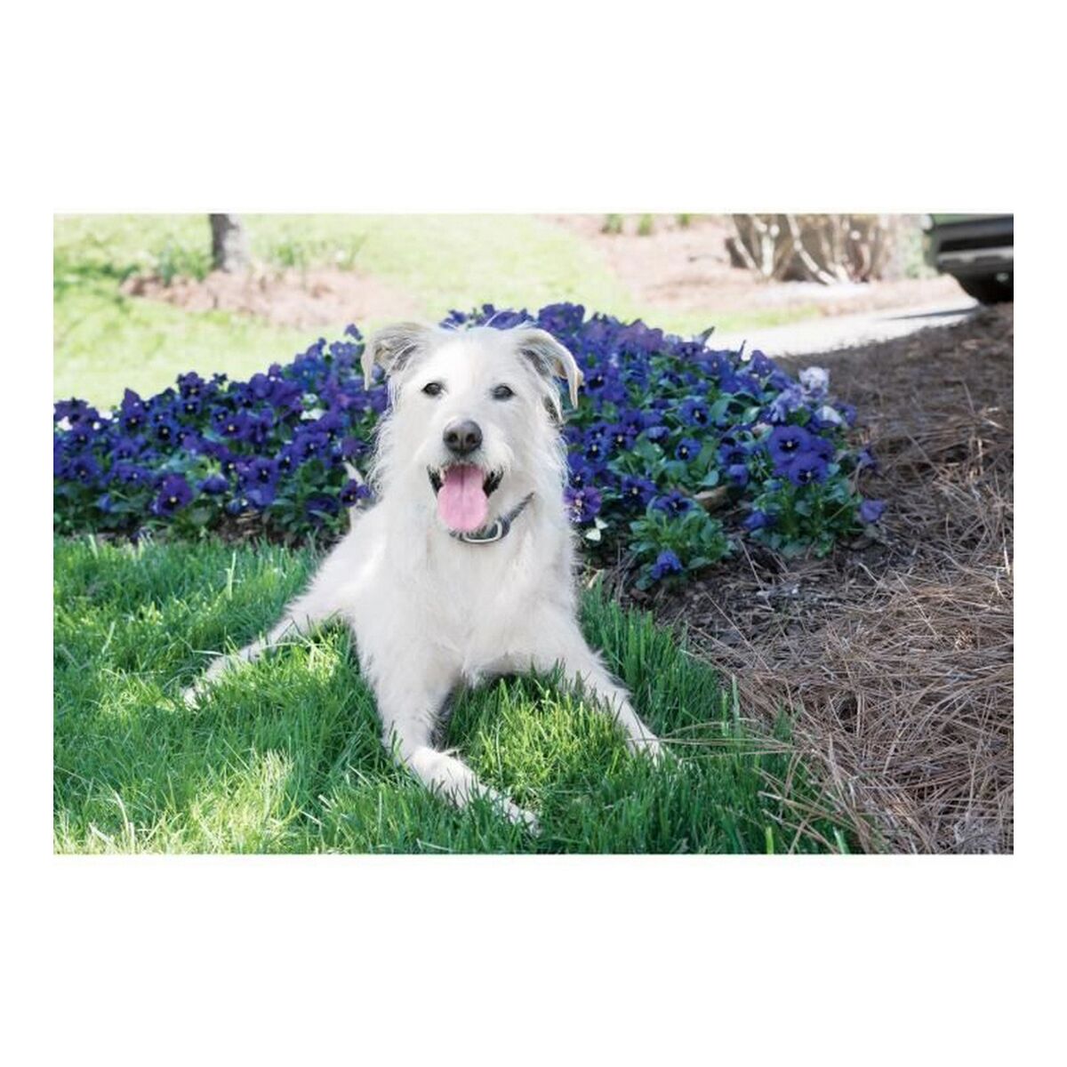 V3H1B3A2E9B8F081DEBB657B306EF0164EBR5763537P3