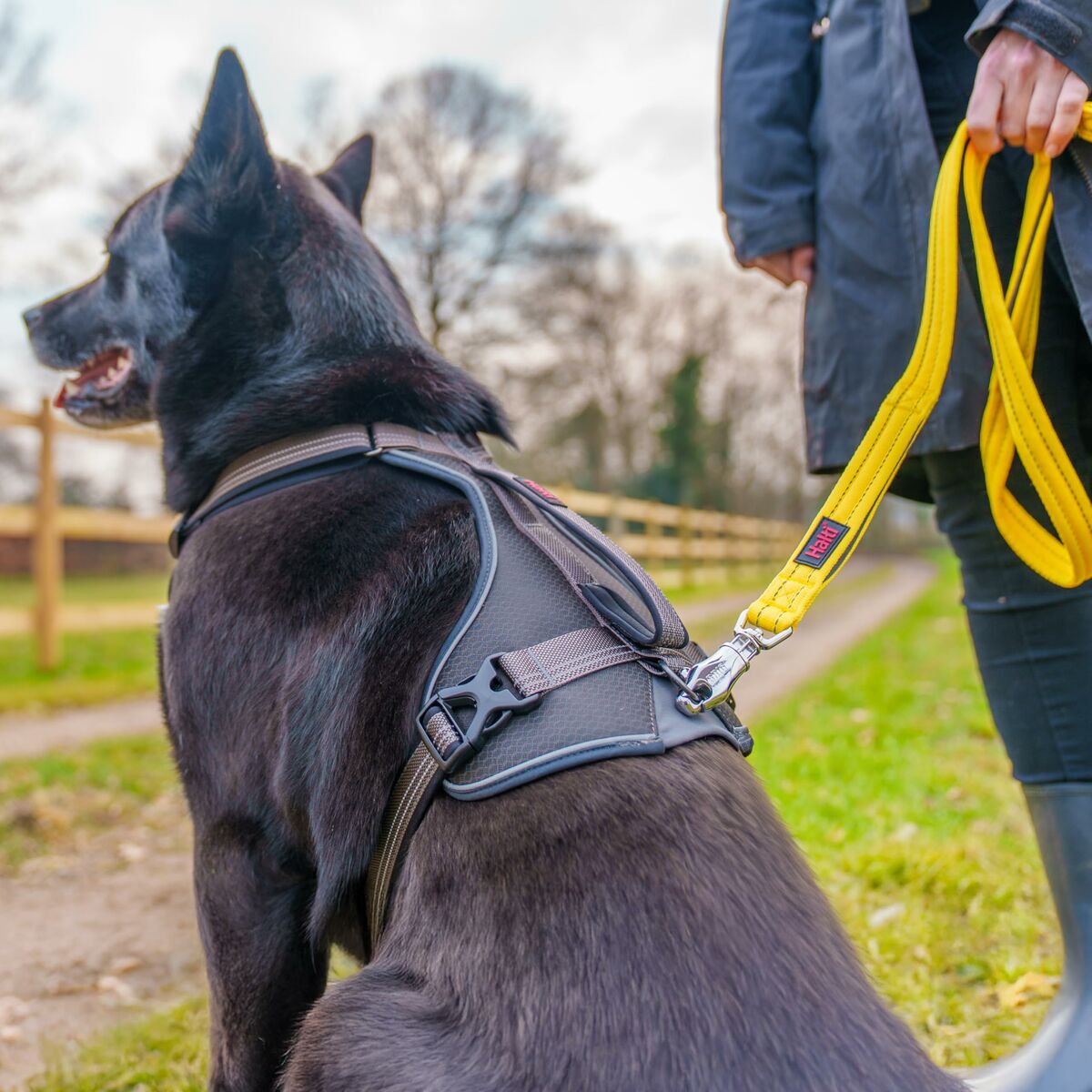 V4HD31928C775F96CC44B7231A1301502AAR7140554P3