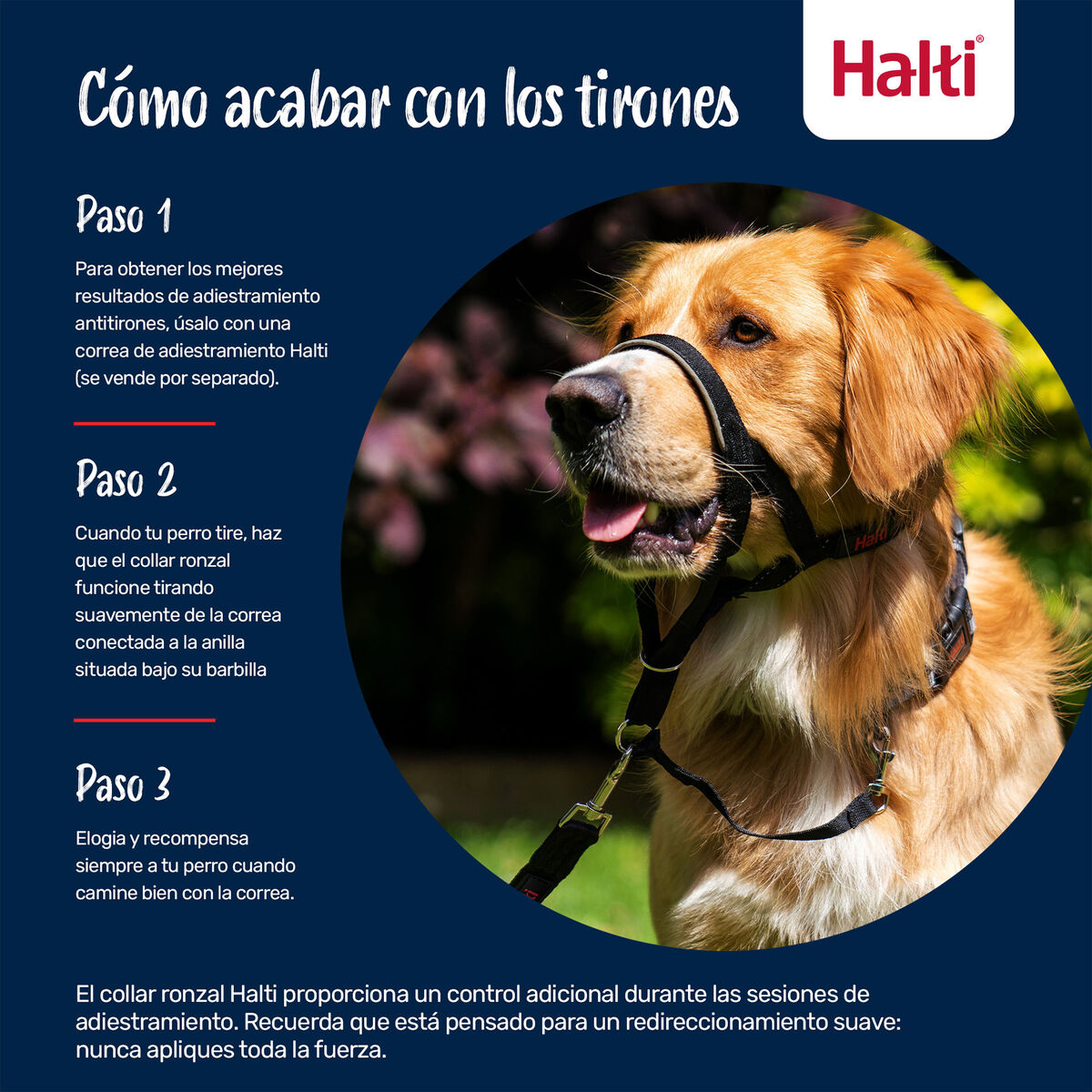 V4HCEB185F71F1D1172EA596F311AF0AA64R7523893P3