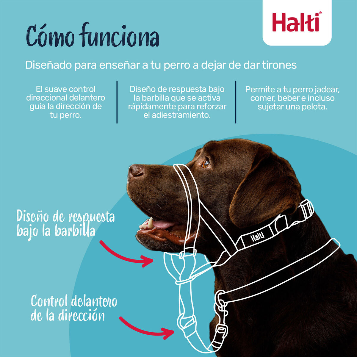 V4HB398BB278016C315CABDFA9C8B4CDA8AR7523895P4