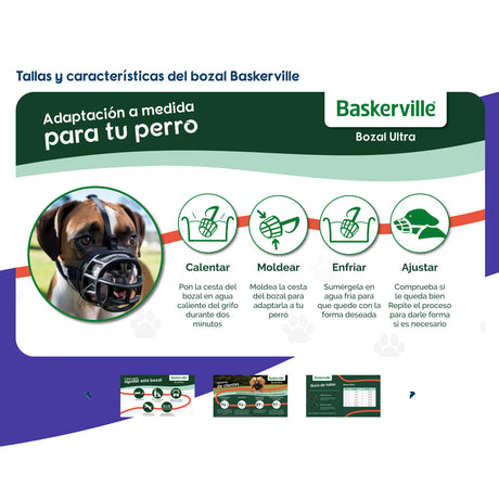 V4HAD295031A1120BBD4100ECDA188AC8D9R5327517P4