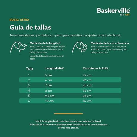 V4HCD970E5ACD00B071D041D03D70F470CDR5327552P5