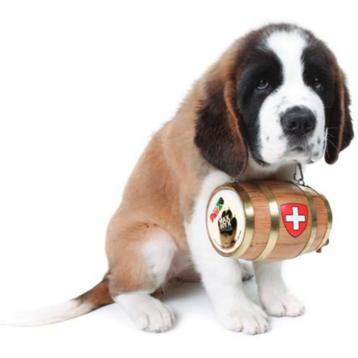 V5HBC1FDDB34CD1E94C5ED1F6384DA6DD89R5595053P7