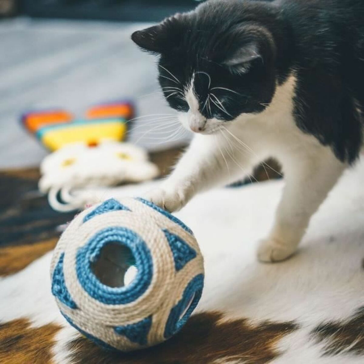 V3HB0543DED141337A5741A34E6FA27E0B2R5778937P3