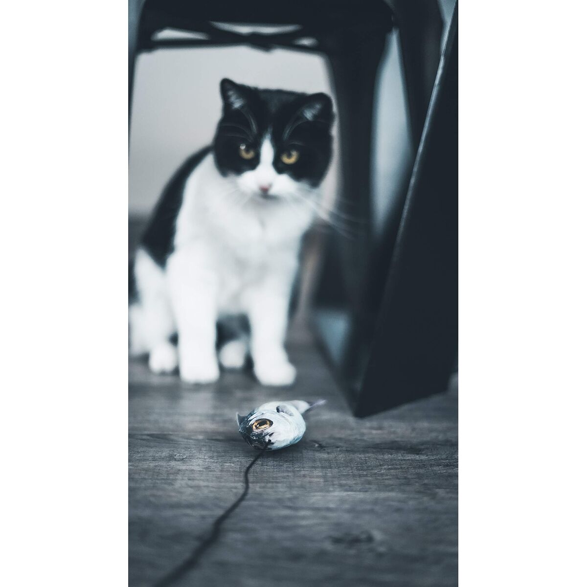 V2HC32EC1688ABB41F6E11AE34105D49342R7436901P10