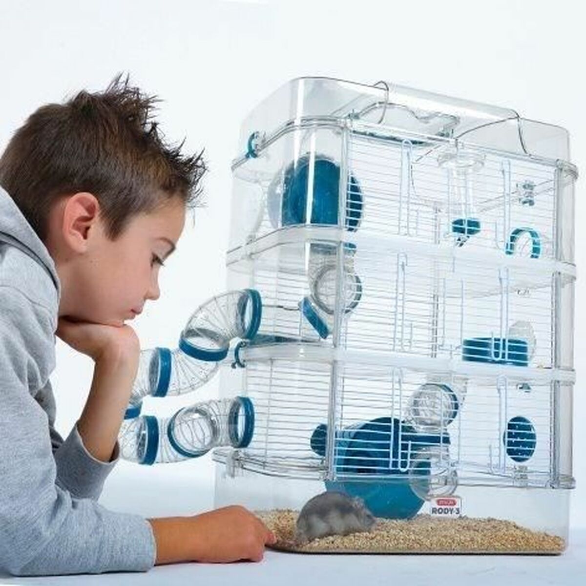 V2H5087E249C0B1C8657830B3BA19E970CER7029803P5