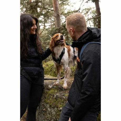 V4H19B9BD0B6E62F2C7F132AA7B8984ADF1R5293645P4