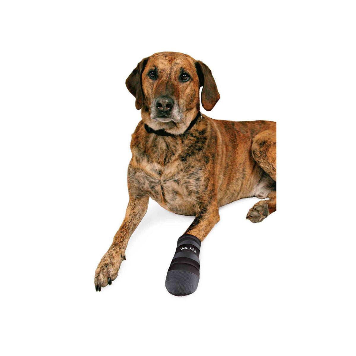 V5H75D38426DF9115C146225EF321791245R7440643P3