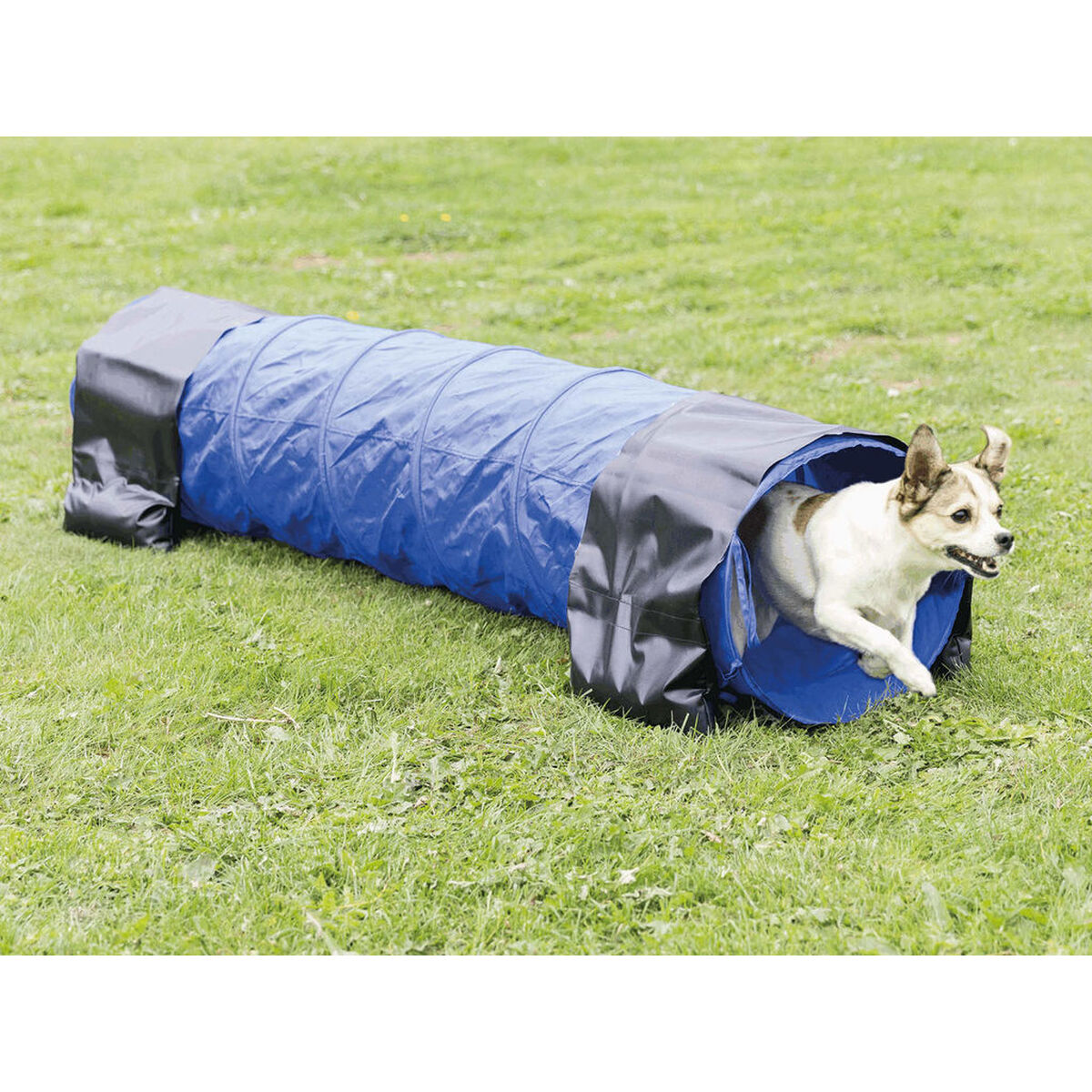 V8H41E2E5510CDA79DC801F76E955DFA152R7439844P2