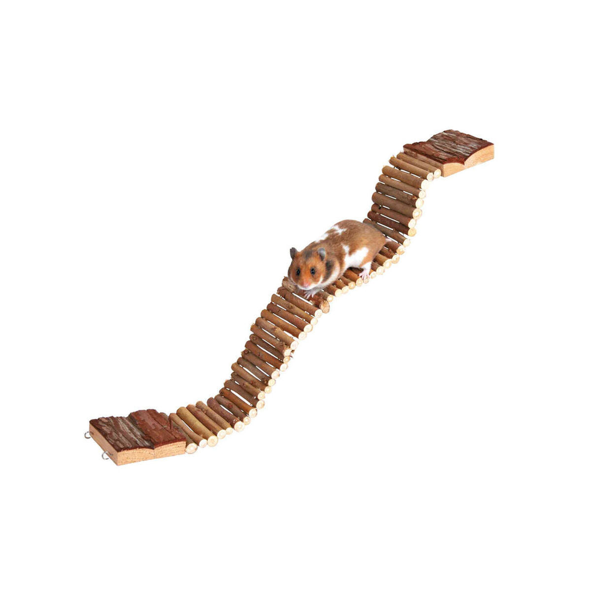 V7H02A02386A6BEE916D27AB389B7406458R7445920P3