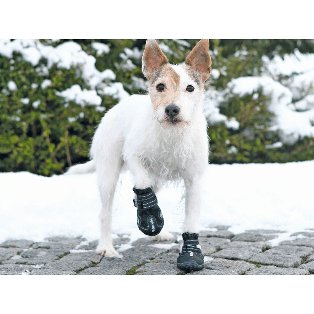 V5H3AE87FD91424D9DE777ECFA641F654E6R7439834P3