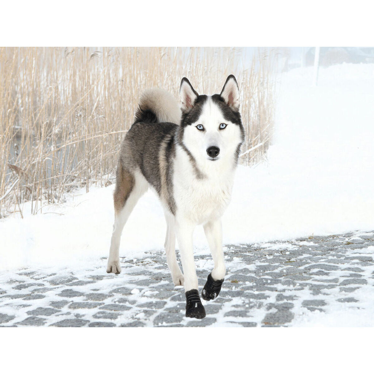 V5HD80E41F39B328607ADEB3A84A7E6D450R7439950P3