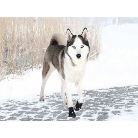 V3H0F025942EA9D19C1A67D7419D3CFA2F4R7439876P3