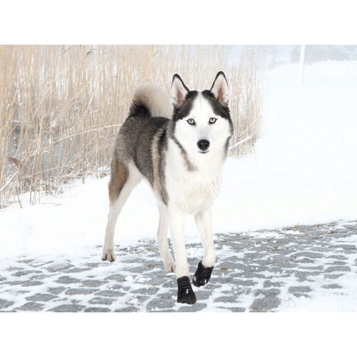 V3HA095589771909CE87CA612543B1123ACR7439897P3