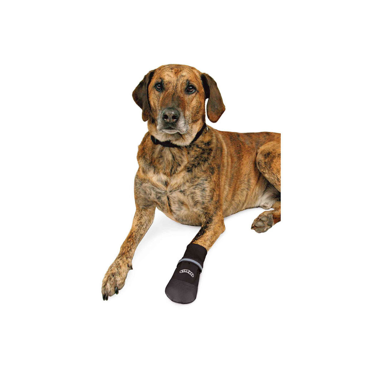 V5H11CAB98A5FF927BD2C1C8525C7F86314R7440488P3