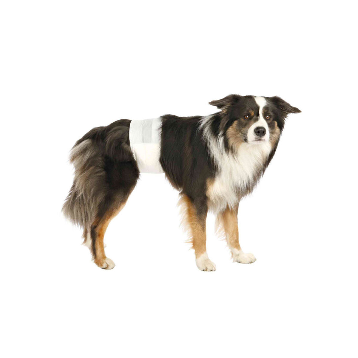 V7H8AD4C63C6D78306D3B80101BB9984244R7444076P3