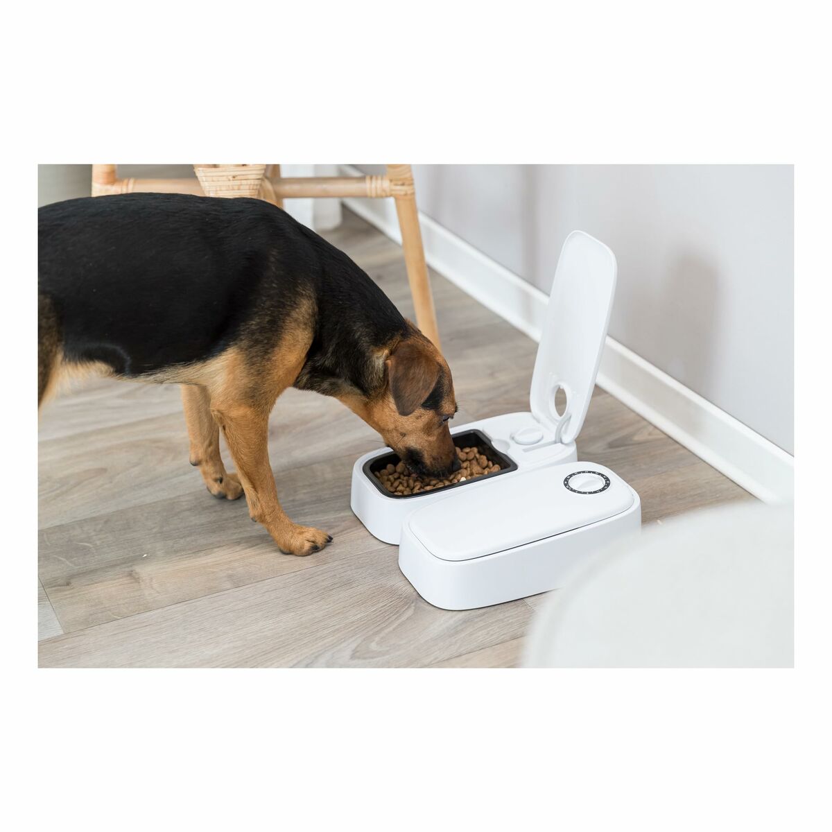 V3H953533ACD7A1868FD1E4315E193A48B0R7462395P9