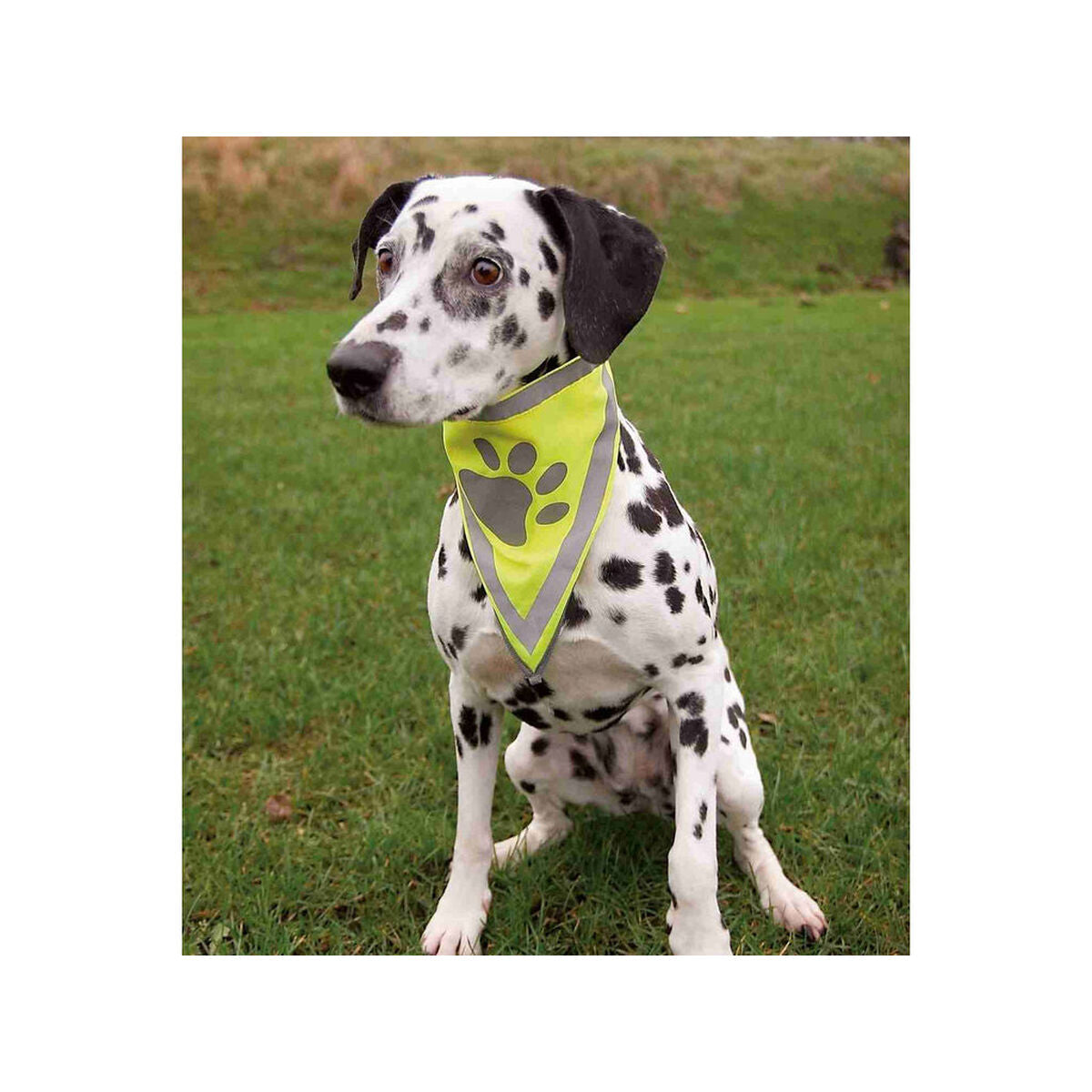 V6HE5951BB015F5BEE0BE5312A16CE52A40R7440304P3