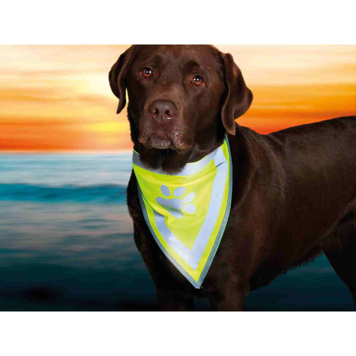 V6HD599EF489754C16536BE7CD305760F19R7440309P5