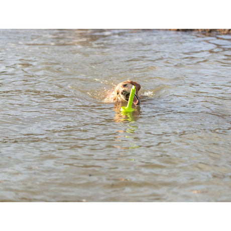 V6HD461802D8E9D4B9F6737655109C2538FR7443182P5