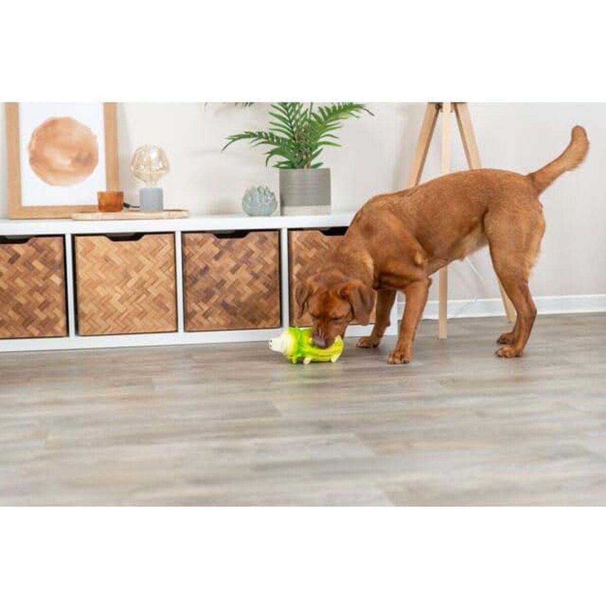 V6HCC897B935C2264E937D1D0DC49F55D62R5439765P2