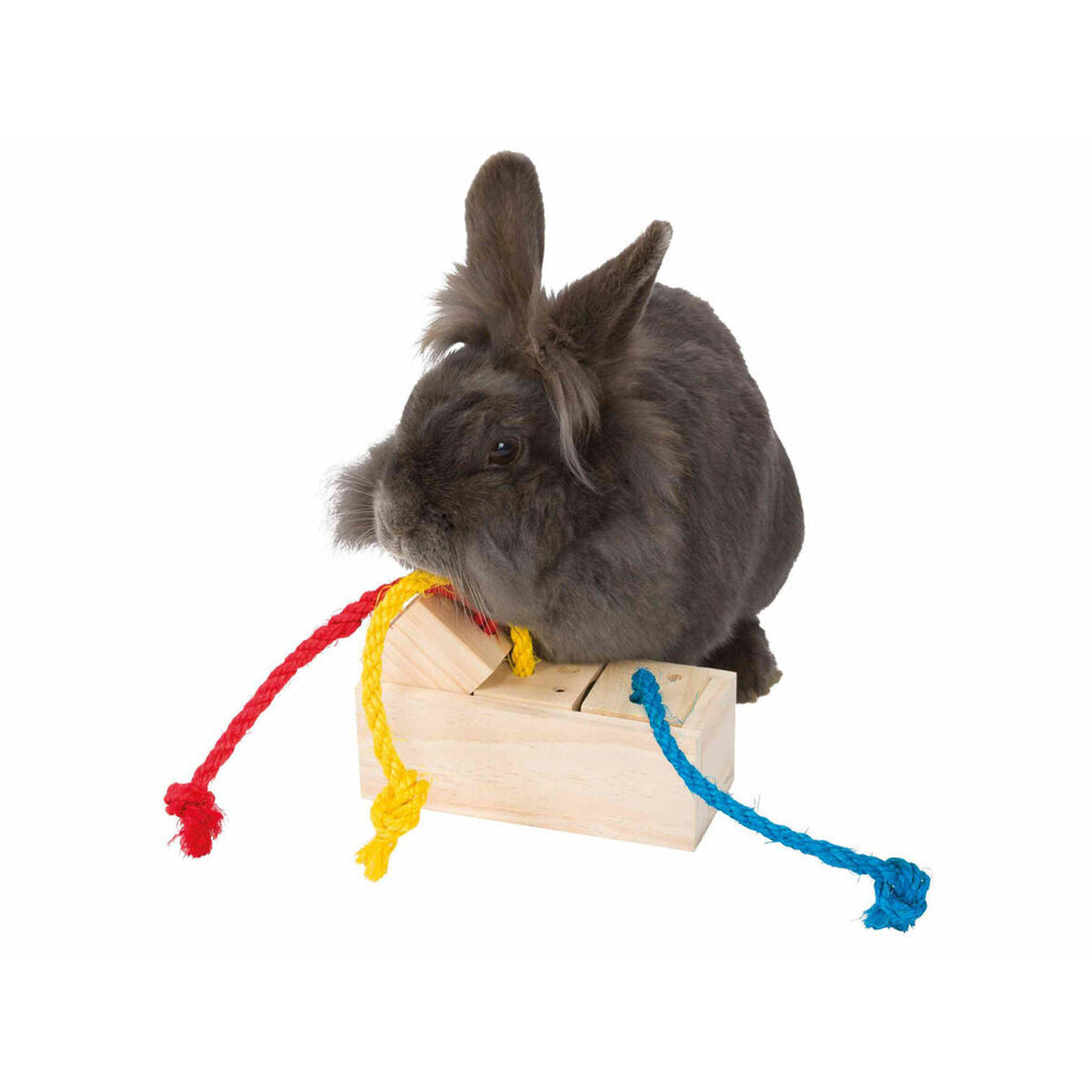 V7HC182685313990429AA5C5C42C8CD0032R7446683P5