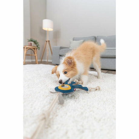 V3HA48C104ED267DFD20D34DBCEF6823D2FR7449073P6