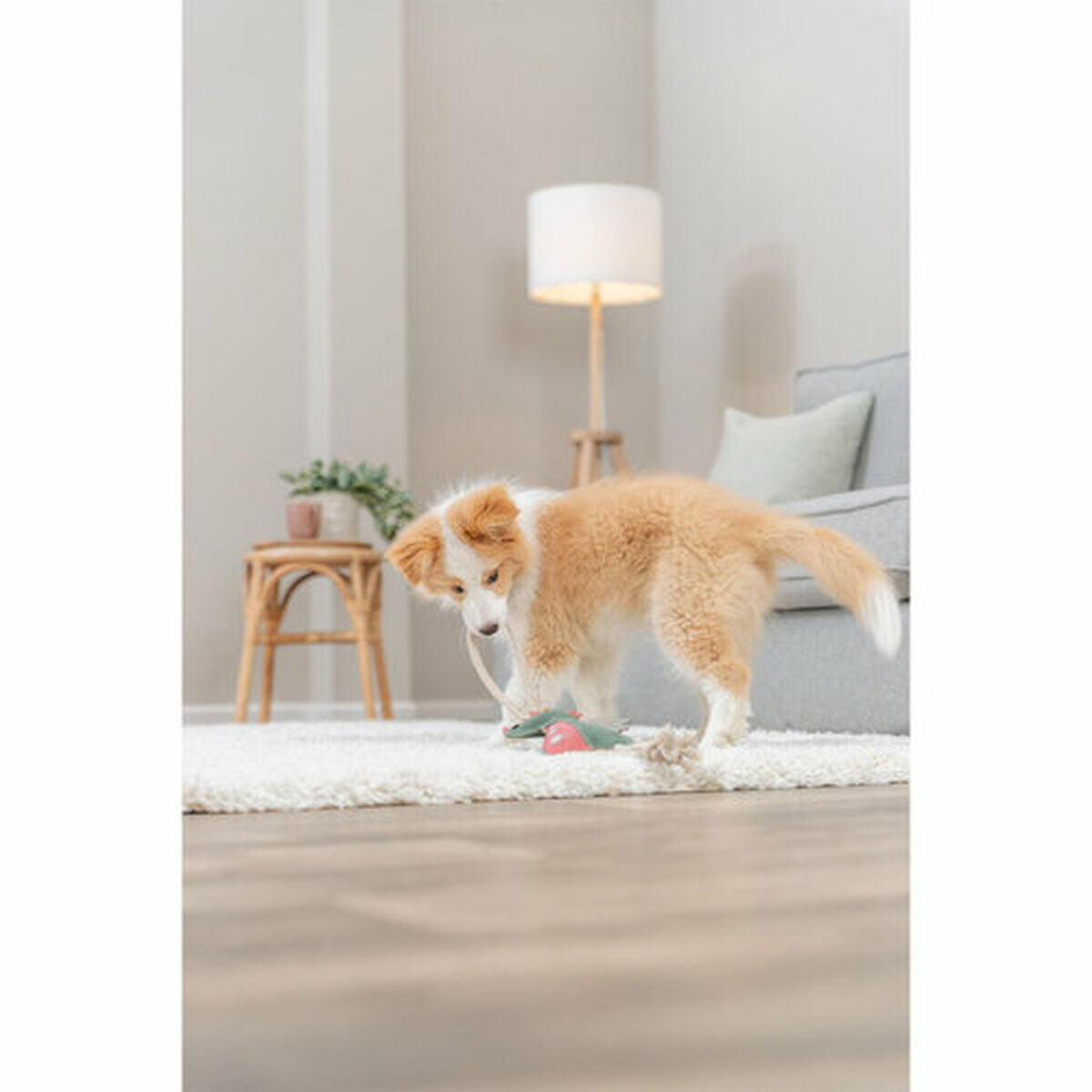 V3HF36C77D88B8747377F6EB84108826D6AR7463048P8