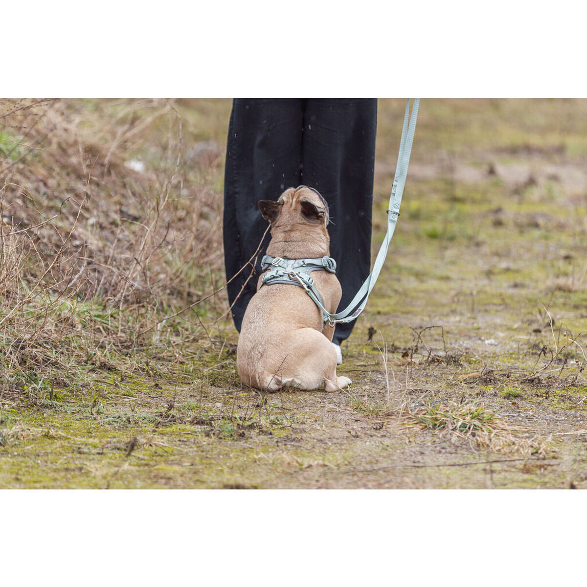 V5H749156B4115079CFF927584FF646033BR7463906P5