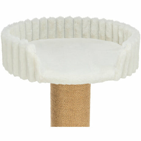 V3H7BD74B9EEC35538D480CB9F33B00FFA2R7449446P10