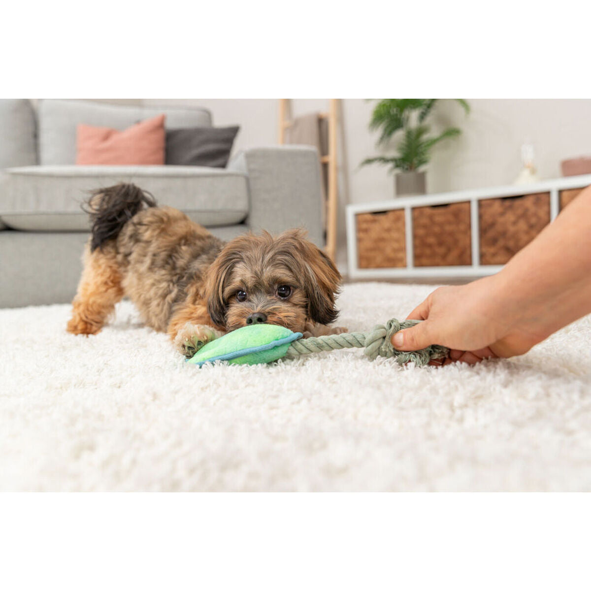 V3HE851B9B9439C2A48521C99F6C850DE27R7462186P5