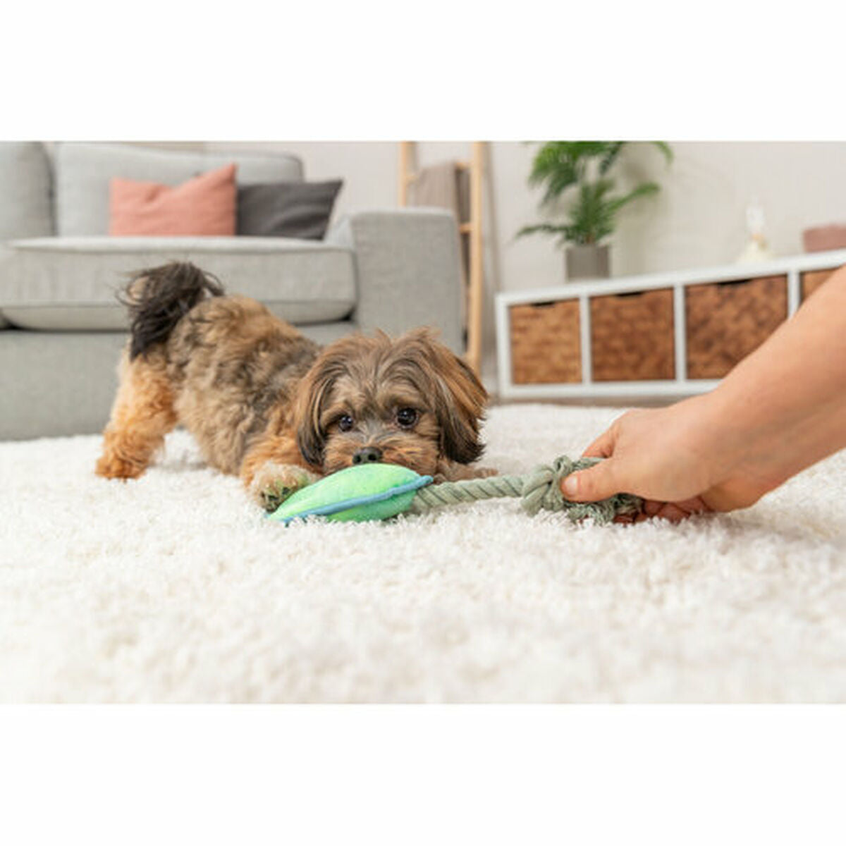 V3HFDCC0FE6EA8790430B5318DDB6F201C4R7462188P6