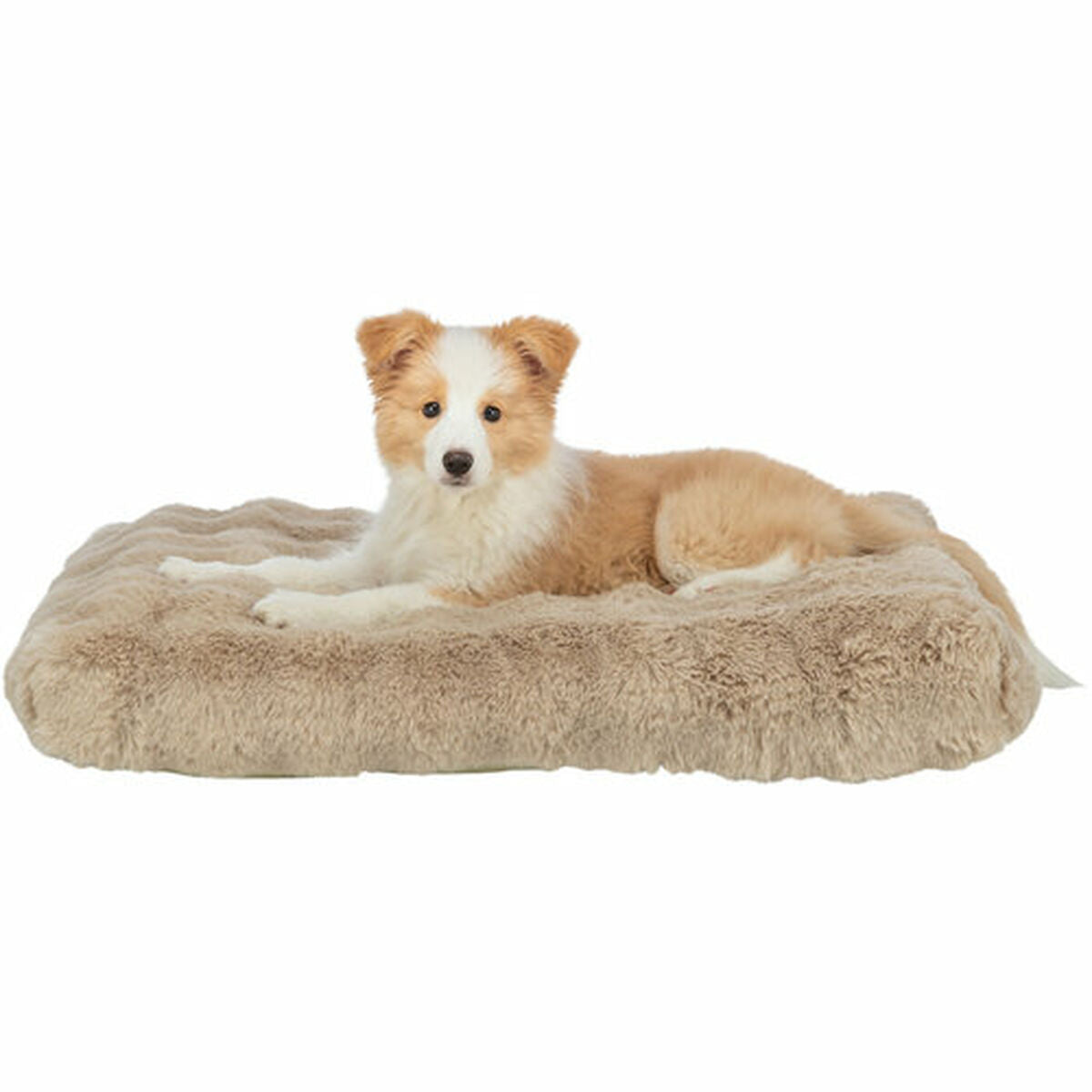 V5H6107E9F4E6314DE8D61278E480BC70CCR7463543P4