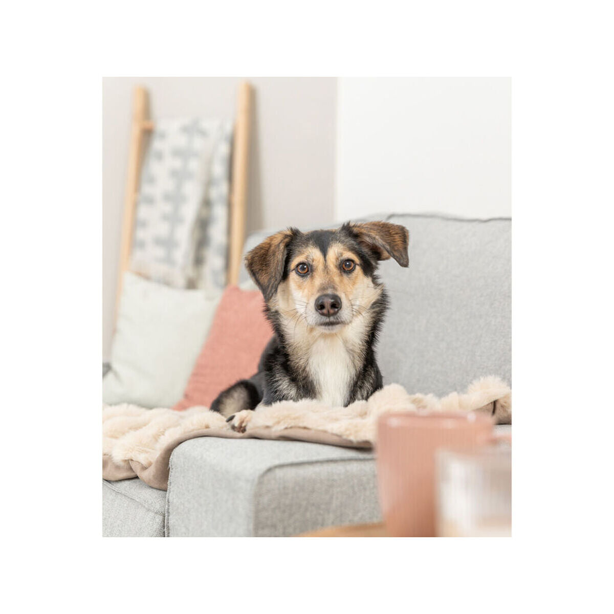 V3H201FC9E402785D946AC8F91603C0C3A5R7449457P3