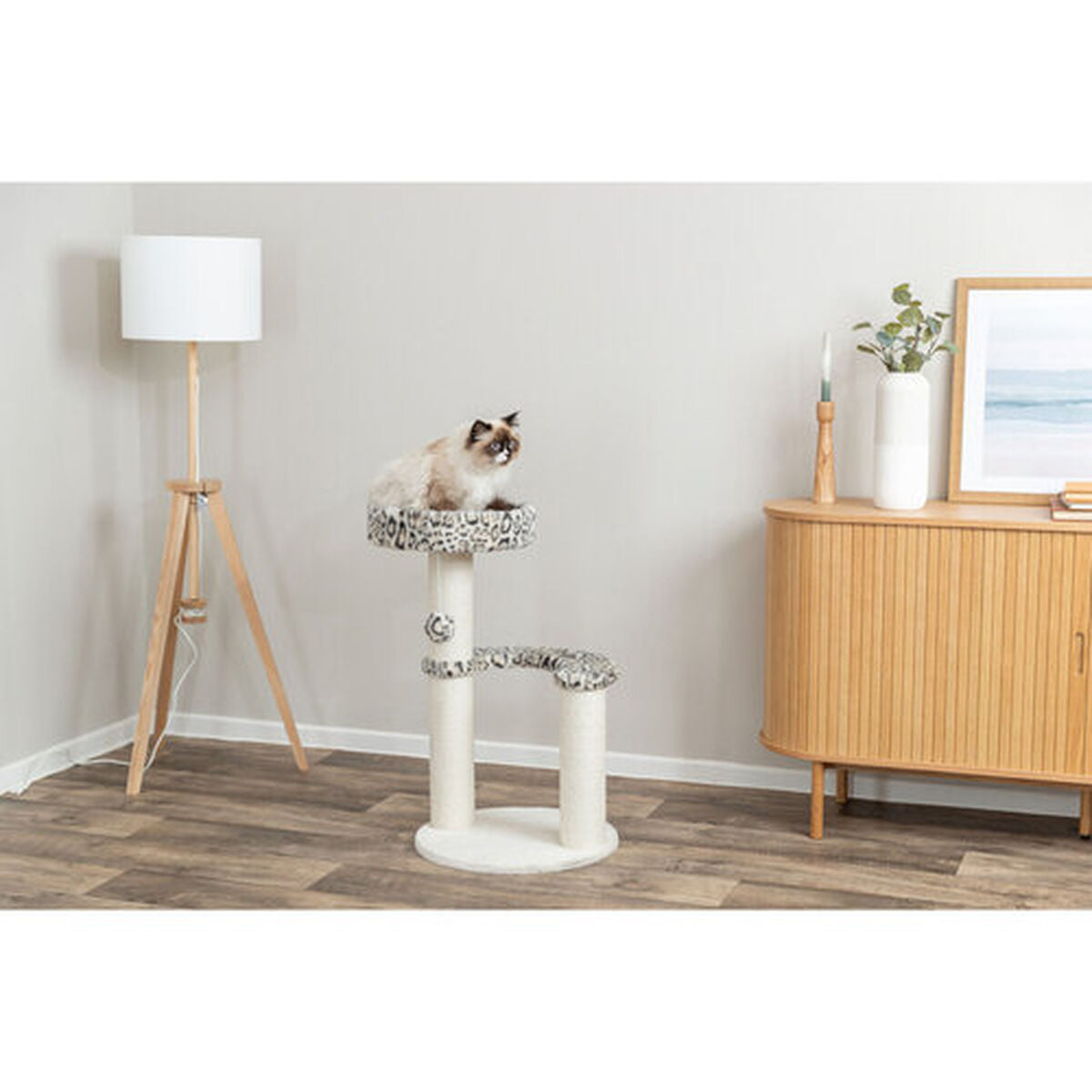 V2HAB859E554C0C681DBA25246A350BEA62R7428854P6