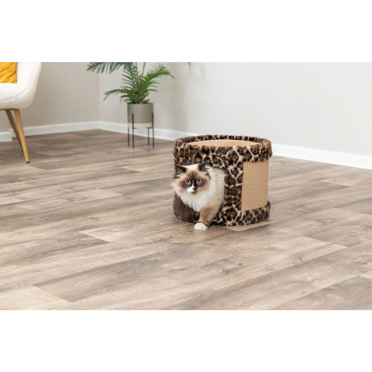 V4H0F10AD13E0F55D47609DB99C23FA1F47R7429203P3