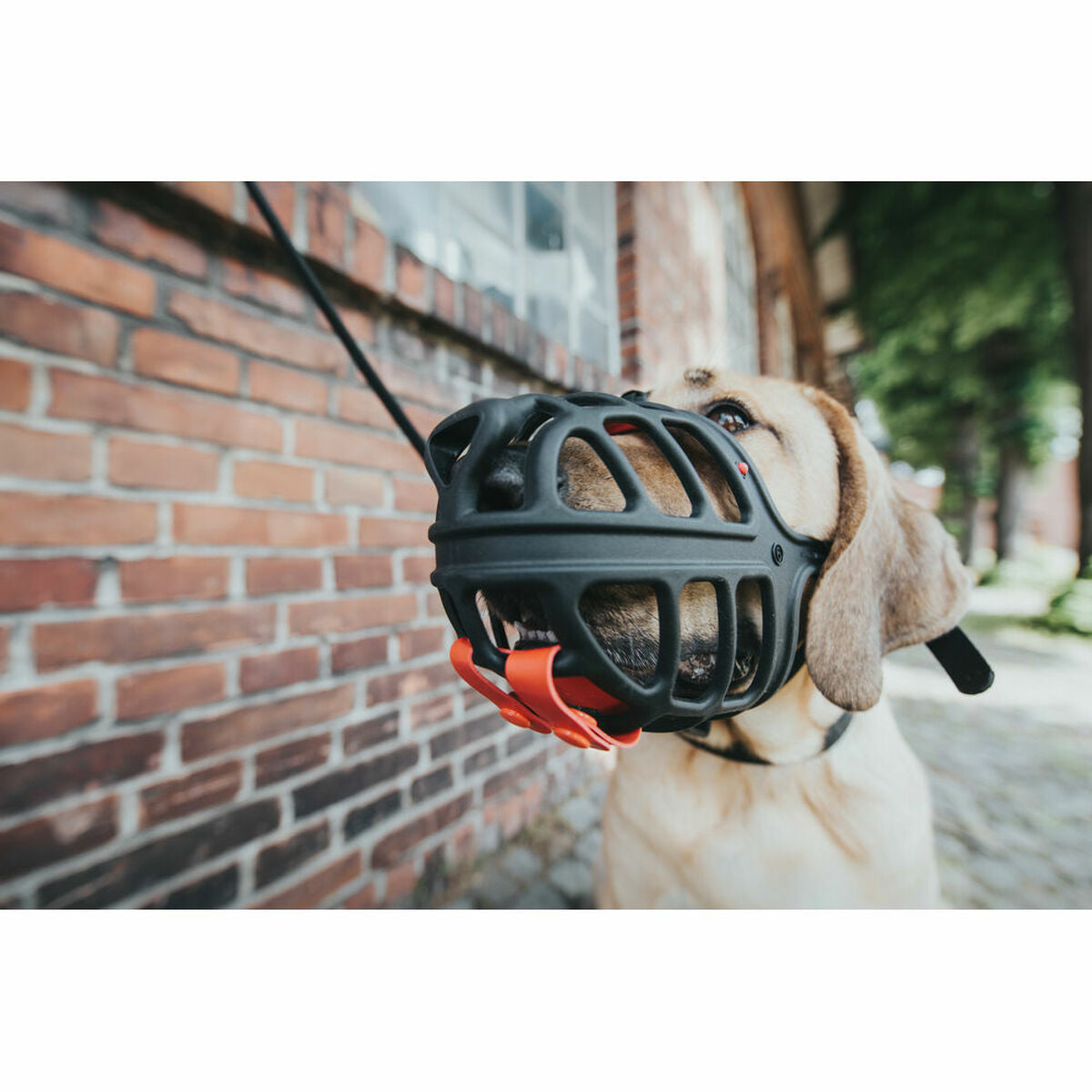 V8HE43EF6EE9C33933B4D1716E112A7F166R4989129P3