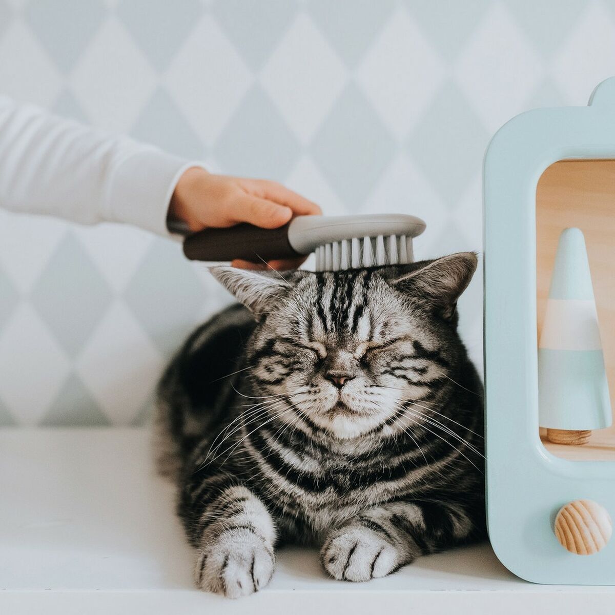 V9H66E6C00C3C3A56D39CEB2481D184AC19R4267965P3