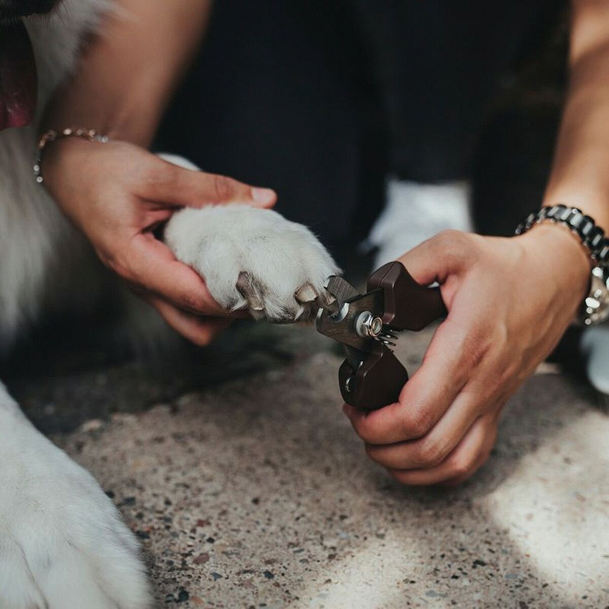 V9H5AA93578AAA0C7AB80F0782DA6E0C1C6R5597723P2