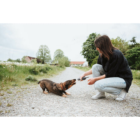 V3HBBBC1ACB4F96B319E41A159347D4BAB8R5574759P2