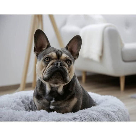 V2HFBB4FBC76834463B5BABCD5C6F0B176DR7479858P10