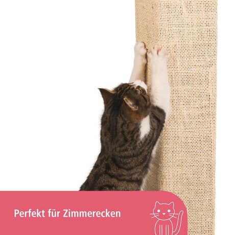 V2H72FA15E82C1793ECACAA49DF8E25CE5ER7479926P4