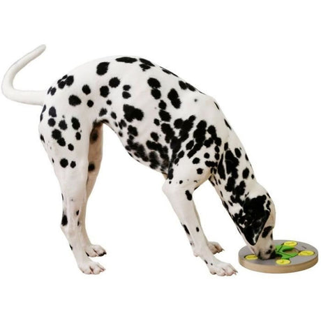 V2H720EB38E1602B48EDC11173E5D1F6CFBR7467988P6