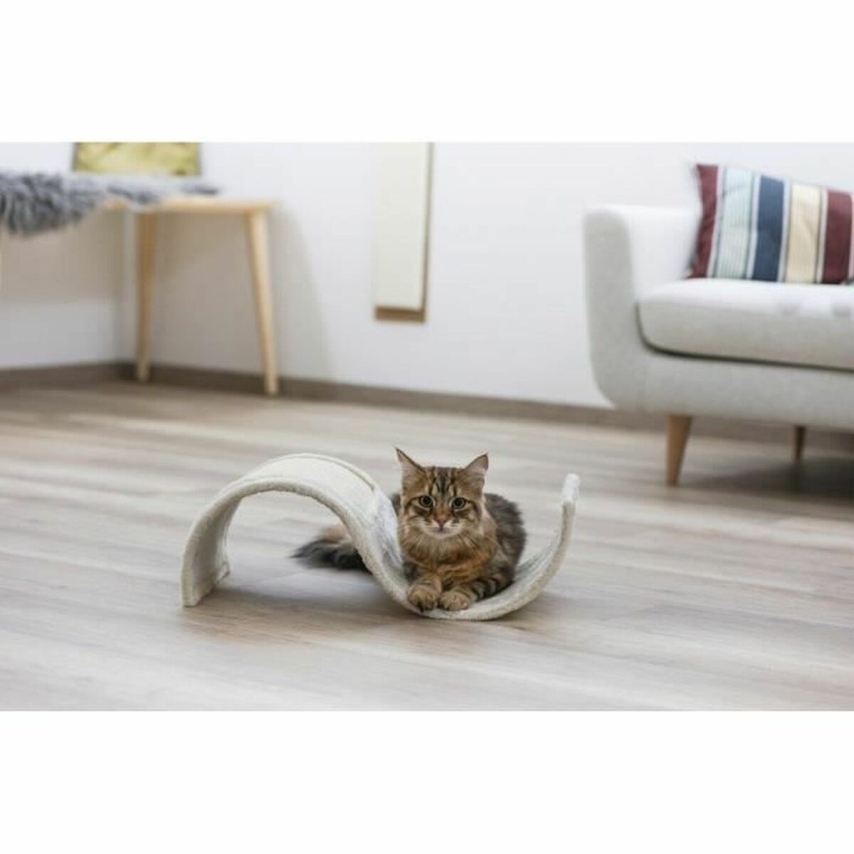 V5HFBF411100A72338657B6D3FA44679043R5763388P2