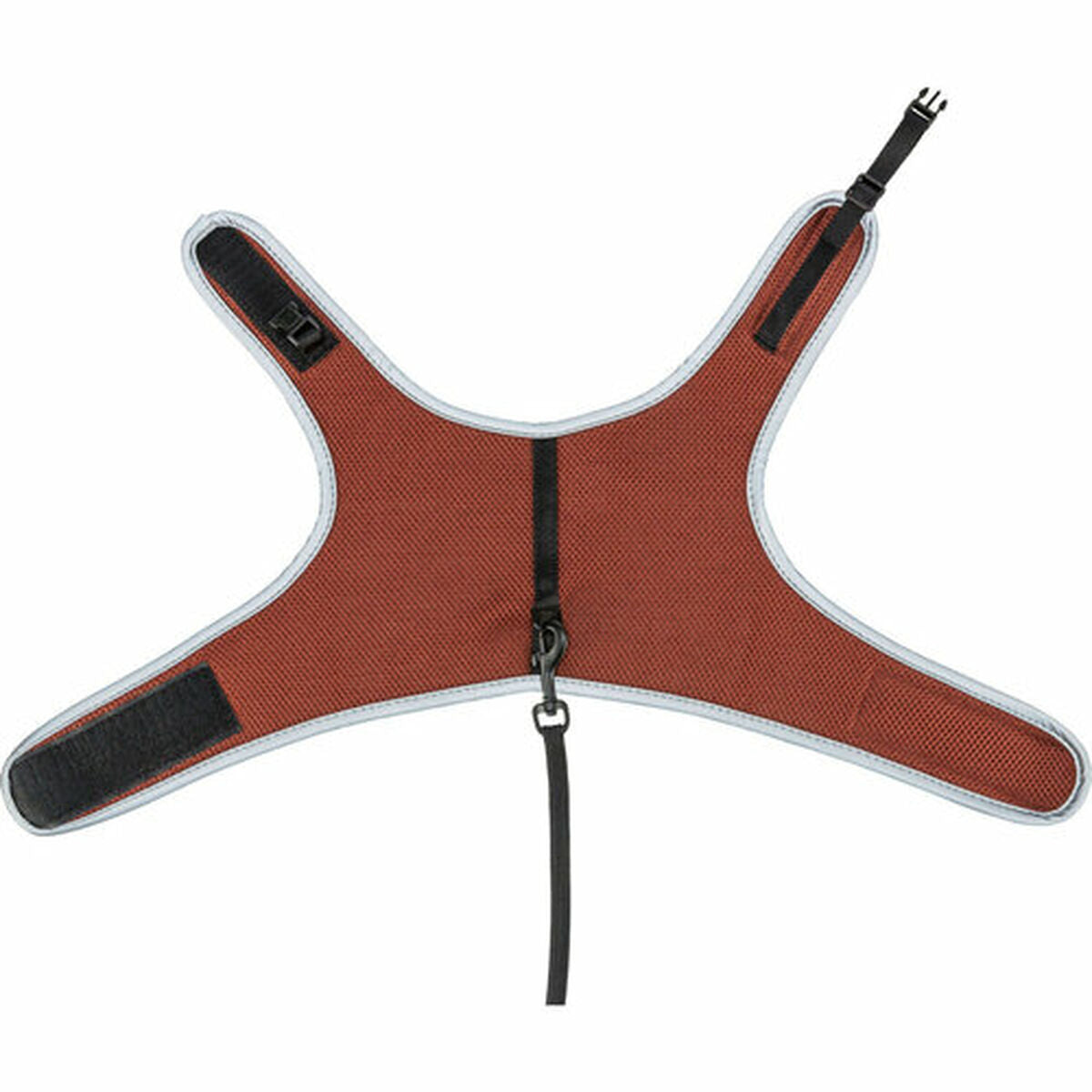 V6HBBDA0309BE74CB3991B7F21404BE6290R7459698P4