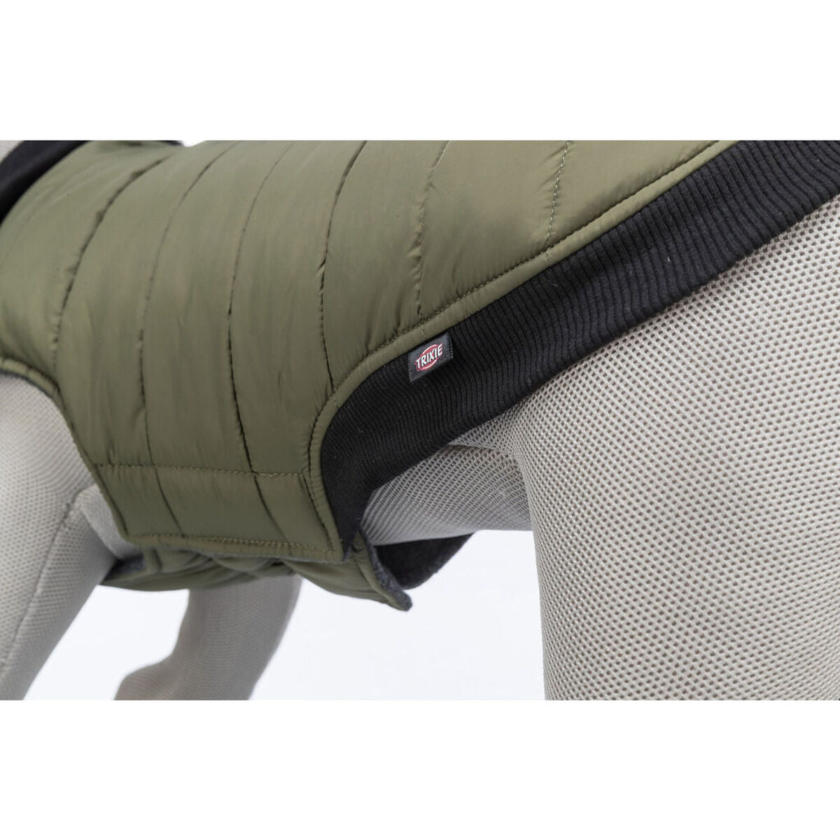 V7H7A6F6C4F73CC936BDD475A2AEAE61BC9R7456061P7